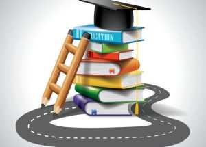 Curriculum Overview Curriculum Overview